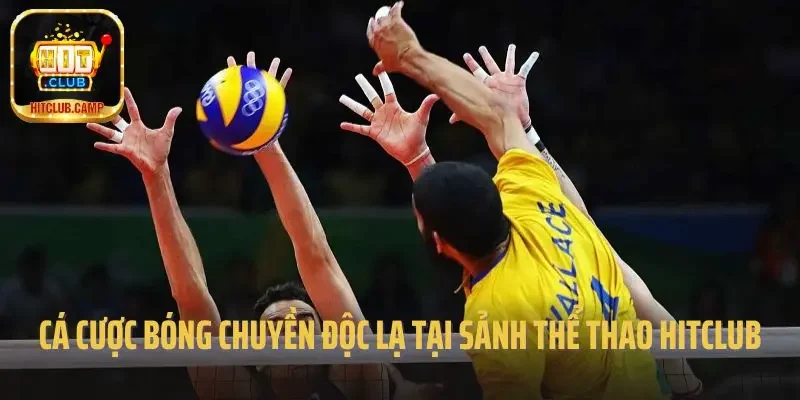 Cá cược bóng chuyền độc lạ tại sảnh thể thao Hitclub